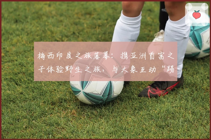 梅西印度之旅落幕：携亚洲首富之子体验野生之旅，与大象互动“踢球”