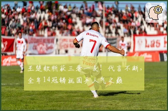 王楚钦斩获三奢一麦！代言不断，全年14冠铸就国乒人气之巅